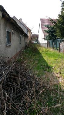 Foto - Einfamilienhaus in Bad Liebenwerda zum Kaufen