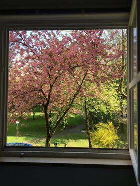 Foto - Gepflegte 3-Zimmer Wohnung in ruhiger, zentraler Lage