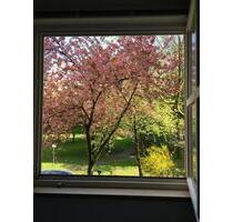 Gepflegte 3-Zimmer Wohnung in ruhiger, zentraler Lage - München Pasing-Obermenzing