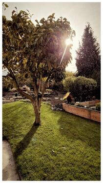 Foto - 4 Zimmer Einfamilienhaus zum Kaufen in Schmölln