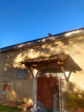 Foto - andere zur Miete in München