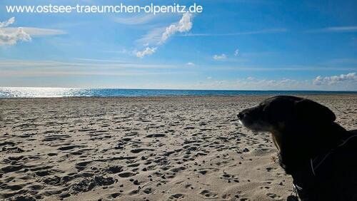 Foto - andere in Kappeln zur Miete