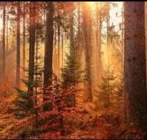 Ferienwohnung Thale Harz Quedlinburg Fahrradgarage Familienbett