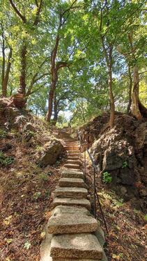 Foto - andere in Thale zur Miete