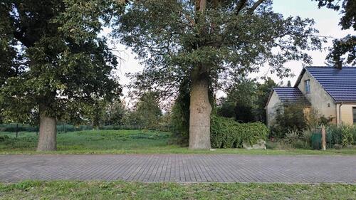 Foto - Einfamilienhaus zum Kaufen in Schönwalde-Glien
