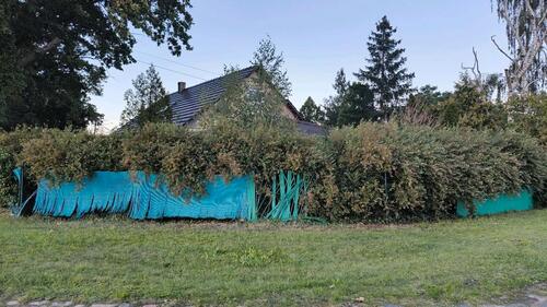 Foto - Einfamilienhaus in Schönwalde-Glien
