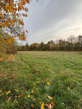 Foto - Grundstück Grünland Landwirtschaftlich Fläche