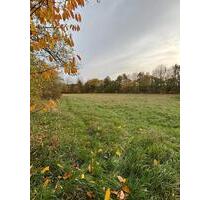 Grundstück Grünland Landwirtschaftlich Fläche - Höxter