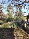 Foto - 7 Zimmer Einfamilienhaus zum Kaufen in Lenzen (Elbe)
