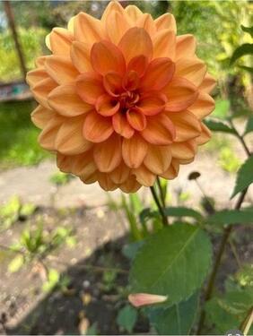 Foto - Grundst&uuml;ck in Aachen