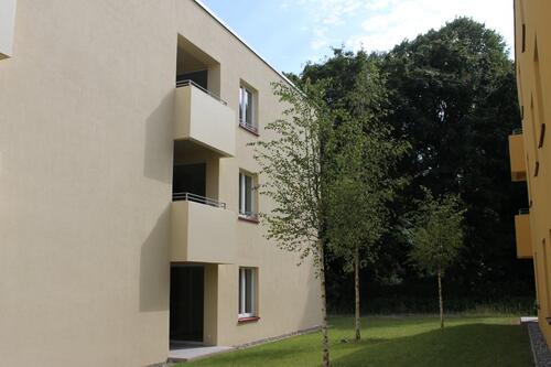 Foto - Etagenwohnung in Greifswald zur Miete