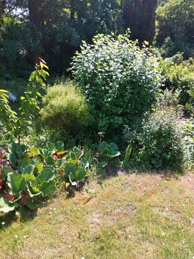Foto - Grundst&uuml;ck in Mönchengladbach zur Miete