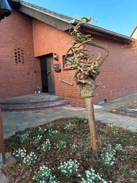 Foto - Frisch renoviertes Einfamilienhaus in ruhiger Lage