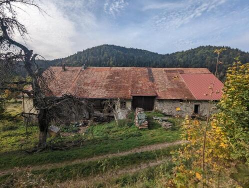 Foto - Einfamilienhaus in St. Blasien