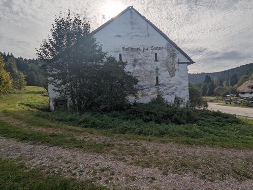 Foto - Einfamilienhaus in St. Blasien zum Kaufen