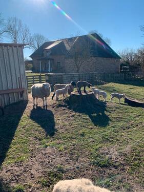 Foto - Sehr schönes gepflegtes modernes Haus zur Vermieten