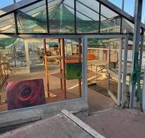 Traditions-Standort am Friedhof Schwelm: Blumenhandel & Floristik - Sprockhövel