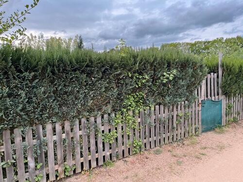 Foto - Kleingarten - 5.000,00&nbsp;EUR Kaltmiete, ca.&nbsp; 0,00&nbsp;m&sup2;