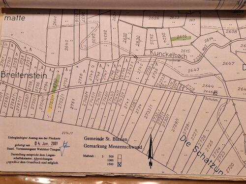 Foto - Grundstücke in St. Blasien- Menzenschwand