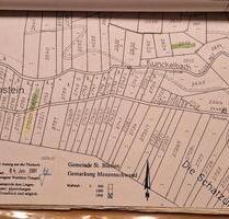 Grundstücke in St. Blasien- Menzenschwand - Bad Wünnenberg