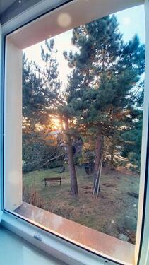 Foto - Villa in Ebersbach-Neugersdorf zur Miete