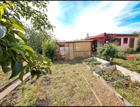 Foto - Kleingarten Pachtland - 3.800,00 EUR Kaltmiete, ca.  0,00 m²