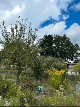 Foto - Grundstück in Lübeck zur Miete