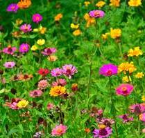 Kreuzberg: Einfamilienhaus mit Einliegerwohnung zu vermieten! - Kronach