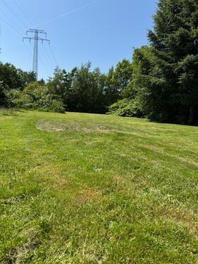 Foto - Einfamilienhaus in Wiesmoor