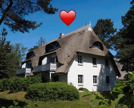 Foto - andere in Zingst