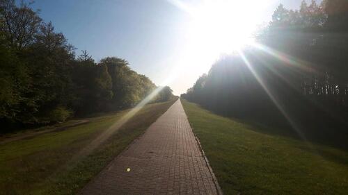 Foto - andere in Zingst zur Miete