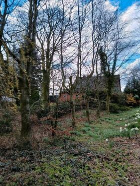 Foto - 1 Zimmer Einfamilienhaus in Neuhaus (Oste)