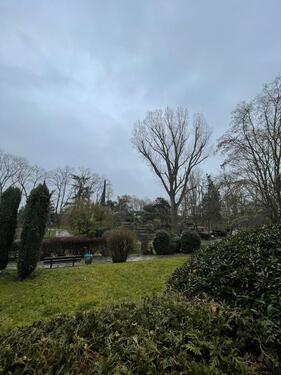 Foto - 1 Zimmer Erdgeschoßwohnung zum Kaufen in Deidesheim