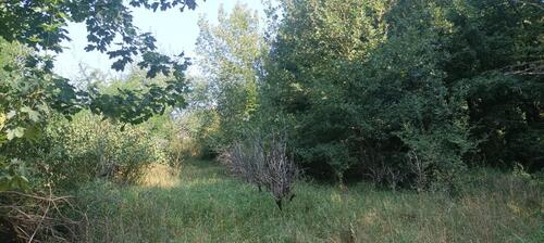 Foto - Grundstück zu verpachten - 100,00&nbsp;EUR Kaltmiete, ca.&nbsp; 0,00&nbsp;m&sup2;