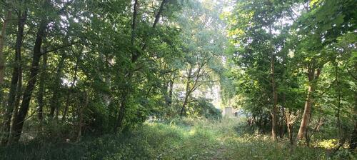 Foto - Grundst&uuml;ck zur Miete in Fredersdorf-Vogelsdorf