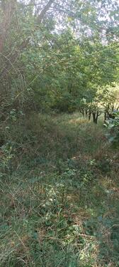 Foto - Grundst&uuml;ck in Fredersdorf-Vogelsdorf