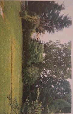 Foto - 11.5 Zimmer Mehrfamilienhaus, Wohnhaus zum Kaufen in Sasbach