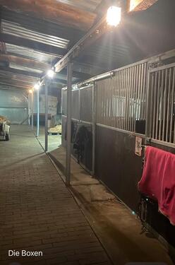 Foto - 6 Zimmer Bauernhaus, Landhaus in Heinsberg