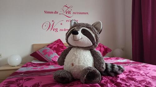 Foto - Ferienwohnung Zum glücklichen Waschbär