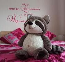 Ferienwohnung Zum glücklichen Waschbär - Bad Karlshafen