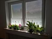Foto - Etagenwohnung in Burgdorf zur Miete