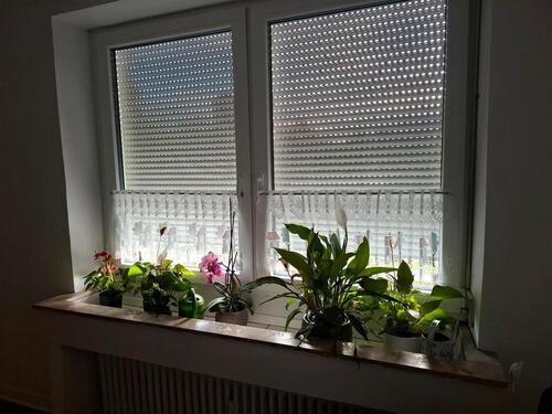 Foto - Etagenwohnung in Burgdorf zur Miete