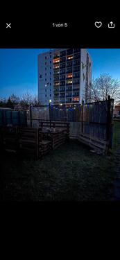 Foto - Grundst&uuml;ck in Bitterfeld-Wolfen