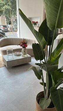 Foto - andere in Köln zur Miete