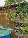 Foto - Kleingarten - 1.467,00 EUR Kaltmiete, ca.  0,00 m²