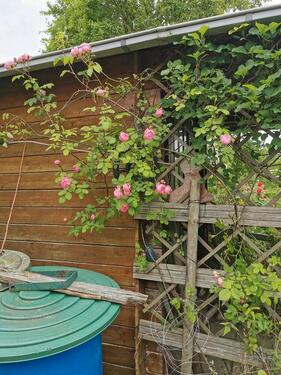 Foto - Kleingarten - 1.467,00 EUR Kaltmiete, ca.  0,00 m²