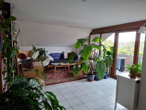 Foto - Etagenwohnung zur Miete in Goldbach