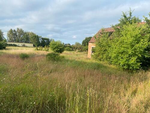 Foto - Einfamilienhaus in Bad Freienwalde (Oder)