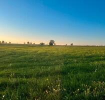 Ruhiges Uni-NahesZimmer in 2er WG - Tübingen Schönblick / Winkelwiese