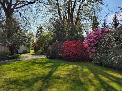 Foto - Einfamilienhaus in Apen zum Kaufen